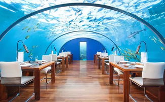 (绘旅人 工作室)网易《绘旅人》成立工作室，打造独树一帜的艺术空间