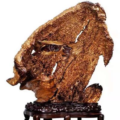 (消失的轨迹百度百科)追踪消失的轨迹：探寻生命背后的故事与未解之谜