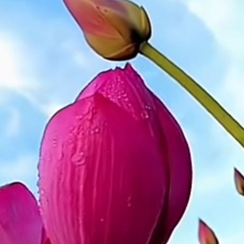 (电脑桌面风景壁纸高清全屏)美丽的电脑桌面风景壁纸全屏：让你的工作空间护眼又养心