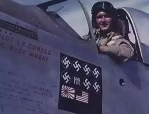 (我想看二战空战)下载二战空战大全,重温历史战役与传奇飞行英雄的壮举! (我想看二战空战)下载二战空战大全,重温历史战役与传奇飞行英雄的壮举!