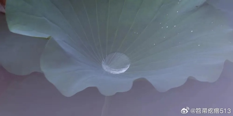 (浮光浅夏的寓意)探寻浮光灼夏的含义:夏天的闪光之光代表着什么?