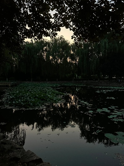 (浮光浅夏的寓意)探寻浮光灼夏的含义：夏天的闪光之光代表着什么？