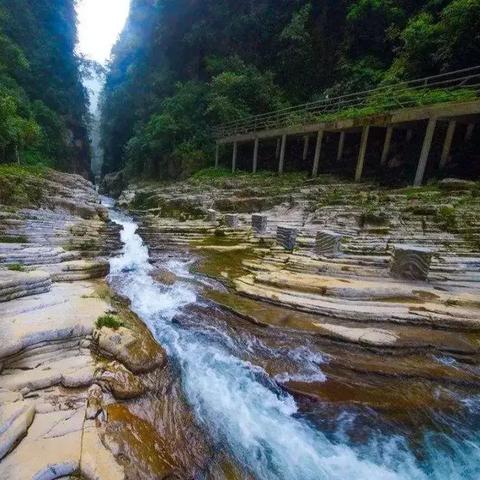 (给我找个梦幻仙境)探寻梦幻仙境的意义:美丽神秘世界在等待你去发现!