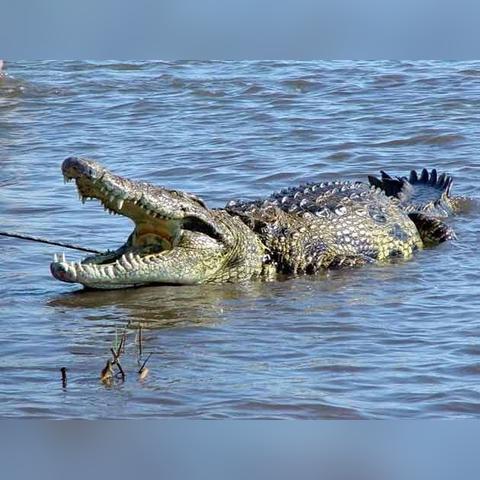 (穿越宇宙视频)穿越宇宙时空,探寻未知世界,免费观看全程旅程