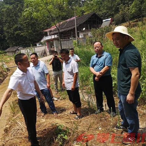 掌上生活:探索如何在手机上轻松管理日常事务与提升生活质量的方法