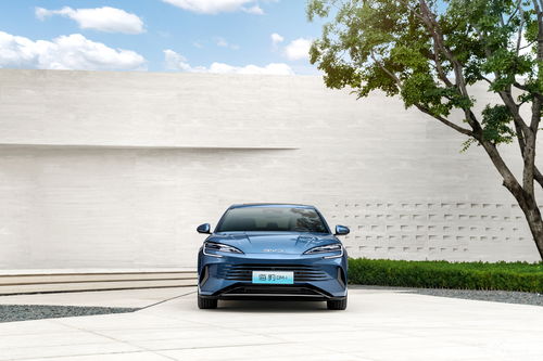 (末途有哪几部番外)深度探讨:末途的多元解读及其在现代社会中的不同含义和影响