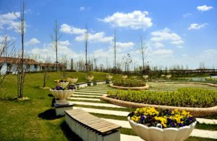 桃园2.0官网:探寻新时代乐园,畅游数字化花园,发现不一样的乐趣