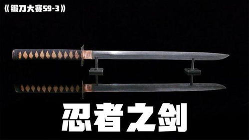 (剑杆出剑时间调整步伐)剑杆身水平如何?技艺高超还是初学者? (剑杆出剑时间调整步伐)剑杆身水平如何?技艺高超还是初学者?