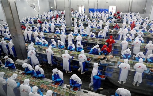 (潜江千分必打技巧视频)探索潜江千分加好友的秘密:如何轻松拓展社交网络与人脉 (潜江千分必打技巧视频)探索潜江千分加好友的秘密:如何轻松拓展社交网络与人脉