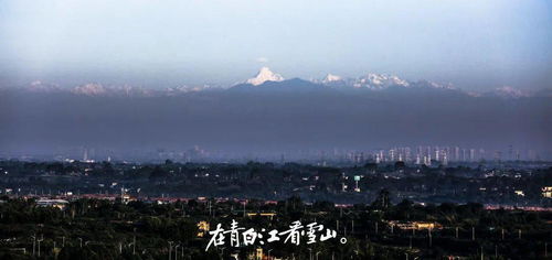 我守护的一切改名了：从生活小记到城市守望者，我和我的城市一起成长