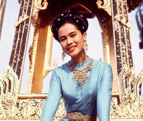 一千克拉女王为何停更？深入分析剧集停更背后的原因与未来展望