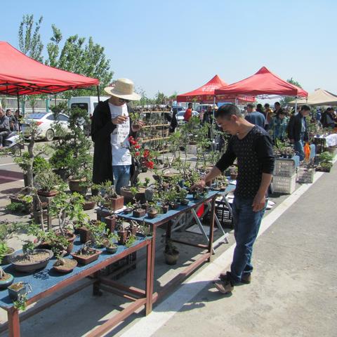 探索无限可能:宇宙小镇职业百度贴吧里的职业介绍和职业选择攻略解析 探索无限可能:宇宙小镇职业百度贴吧里的职业介绍和职业选择攻略解析