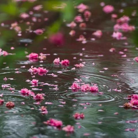 (微信名迟暮是什么意思)女人微信名叫迟遇，暗示着她在等待一段迟来的爱情。