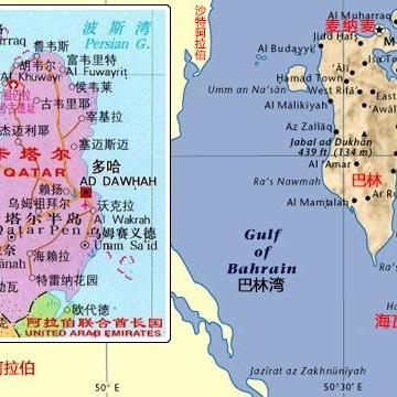 (皮拉西卡巴)5元一只真卡皮巴拉，萌萌哒可爱动物等你来带回家