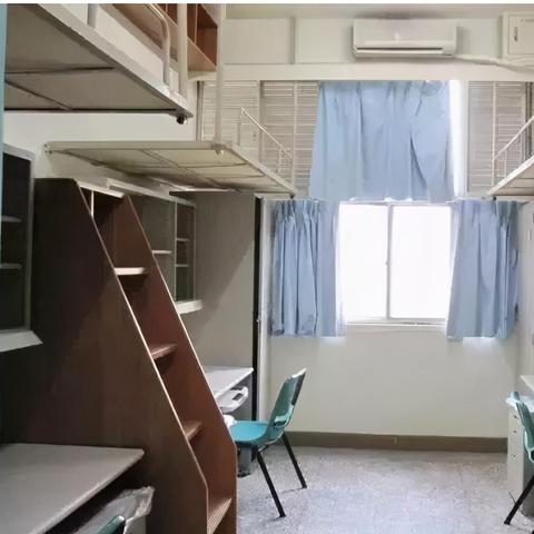 荒野冒险游戏攻略大全:从基础生存技巧到高级挑战应对一应俱全 荒野冒险游戏攻略大全:从基础生存技巧到高级挑战应对一应俱全