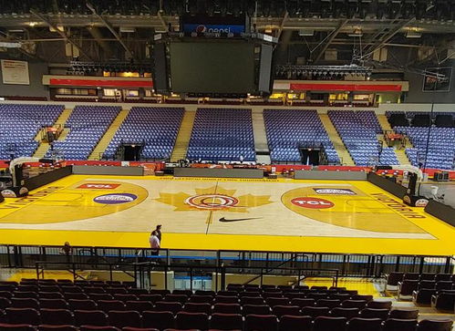 (华夏篮球俱乐部)华夏球队队员名单：最新华夏球队现役队员名单一览