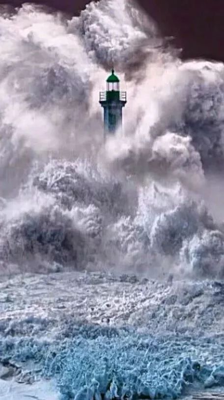 (纪录片致命追逐在线观看)致命追逐：揭秘惊心动魄的纪录片世界