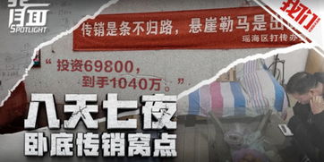 代号百家没了：一个神秘组织的突然消失引发了什么样的连锁反应？