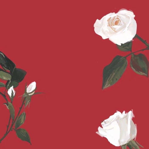 (纸嫁衣红色指针在哪里)纸嫁衣4红丝暗系解法：精密技术与心灵契合的完美结合