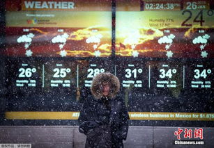 (代号爆发)代号暴风雪：一场席卷全球的信息风暴，揭开了背后的真相