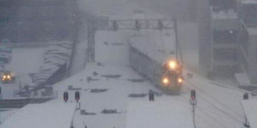 (代号爆发)代号暴风雪:一场席卷全球的信息风暴,揭开了背后的真相 (代号爆发)代号暴风雪:一场席卷全球的信息风暴,揭开了背后的真相