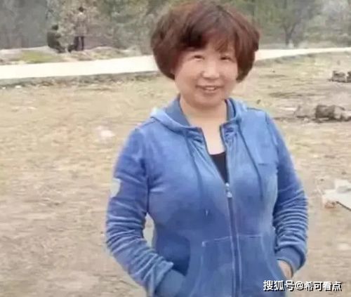 针对网络热议的织梦森林抄袭争议，官方正式回应该事件：是否存在抄袭，最终结果如何？