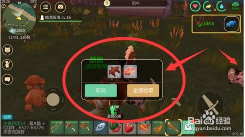 (魔法探索游戏)探索神秘魔法手环在线观播放的奇幻世界 (魔法探索游戏)探索神秘魔法手环在线观播放的奇幻世界