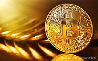 探讨金融领域新兴词汇：'钱币骑士'是什么意思？其在现代社会中的角色和影响力分析