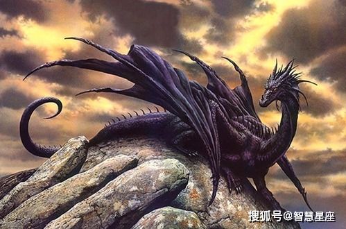 (元龙第四集预告)请问元龙第四季是为什么停更了呢? (元龙第四集预告)请问元龙第四季是为什么停更了呢?