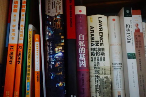 武林秘笈还是武林秘籍：揭秘古代武林秘诀传承方式及其对当代武术文化影响的深入研究