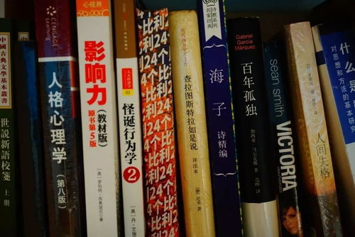 武林秘笈还是武林秘籍:揭秘古代武林秘诀传承方式及其对当代武术文化影响的深入研究 武林秘笈还是武林秘籍:揭秘古代武林秘诀传承方式及其对当代武术文化影响的深入研究