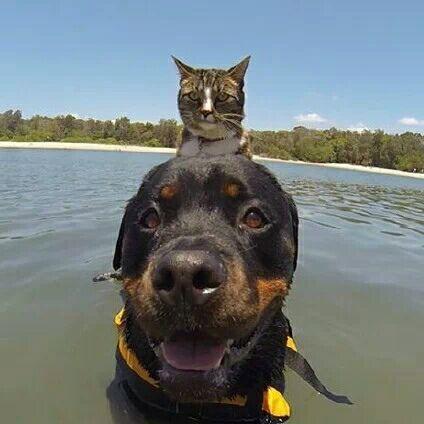 以刺激与色彩碰撞为要点,探讨新潮滑板色彩冲浪游戏在青少年群体中的流行趋势与深远影响 以刺激与色彩碰撞为要点,探讨新潮滑板色彩冲浪游戏在青少年群体中的流行趋势与深远影响