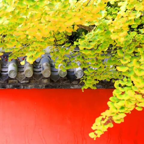 淘宝平台独家特卖:揭秘'皇城传说'游戏折扣优惠活动,帮玩家省钱攻略全收录 淘宝平台独家特卖:揭秘'皇城传说'游戏折扣优惠活动,帮玩家省钱攻略全收录