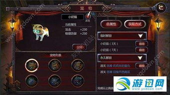 (暗黑血统2怎么拿取)暗黑血统2白金攻略:全面解读如何轻松获取所有白金成就! (暗黑血统2怎么拿取)暗黑血统2白金攻略:全面解读如何轻松获取所有白金成就!