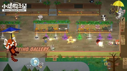 (小动物之星端游叫什么)小动物之星下架了吗？探讨游戏去除原因与玩家的反响