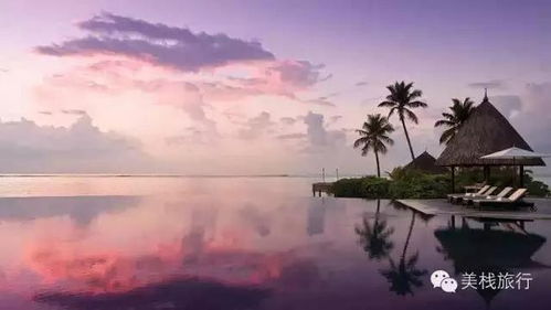 探索苍茫之境美得纯净背后的深意：在喧嚣尘世中寻找心灵的宁静与美丽