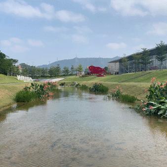 逐梦农家生活：解密旅行找元素农家小镇第四关，探索田园风情之美