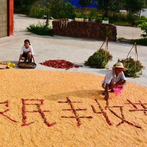 (英雄帖内容)英雄帖什么意思？探讨现代社会对英雄形象的定义及意义