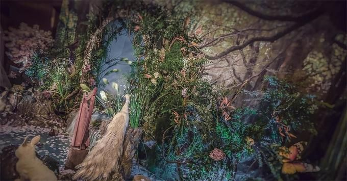 探秘神秘精灵王国的魔幻催眠曲：隐藏在音符中的神秘力量与奇幻传说