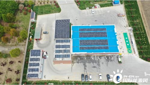 (寻找顶级制造)寻找顶级丹方小说全文免费阅读攻略