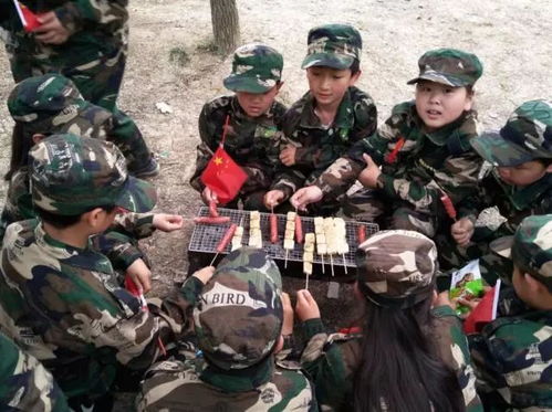 (荒岛野外生存的电影,电视剧)在荒岛上挑战自然: 野外生存荒岛求生游戏 (荒岛野外生存的电影,电视剧)在荒岛上挑战自然: 野外生存荒岛求生游戏