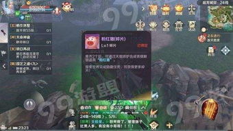 《仙人之下我无敌》全集完整版免费获取，探索无敌人生的精彩旅程与无限可能！