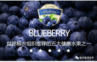 (王蓝莓的幸福生活不失礼貌的化解尴尬)王蓝莓的搞笑日常：每一天都是笑料百出、让人捧腹的生活点滴