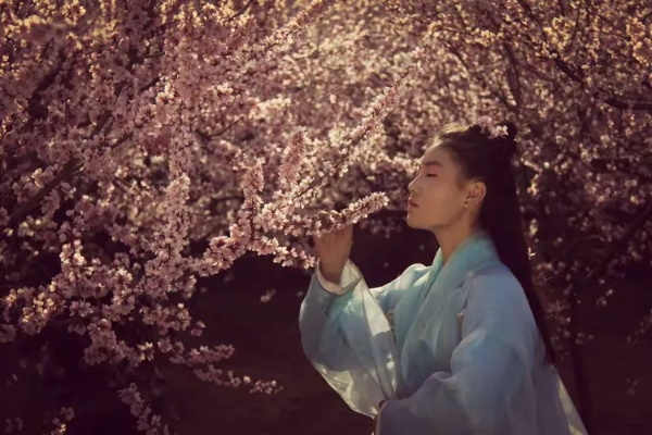 在春风拂面时,倾听葬花纯音乐带来的沁人心脾的宁静与思绪 在春风拂面时,倾听葬花纯音乐带来的沁人心脾的宁静与思绪