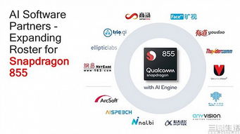 (英伟达官方合作伙伴)英伟达与谷歌合作探索量子AI技术领域的新机遇 (英伟达官方合作伙伴)英伟达与谷歌合作探索量子AI技术领域的新机遇