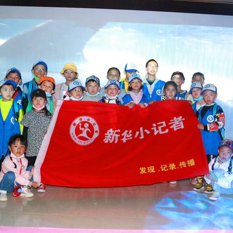 (萌宠探险闯关小游戏)探险乐园:萌宠大冒险app,带你进入奇幻世界探索无限乐趣 (萌宠探险闯关小游戏)探险乐园:萌宠大冒险app,带你进入奇幻世界探索无限乐趣