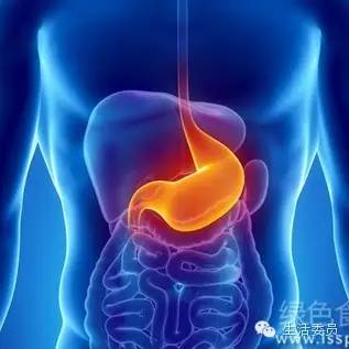 (血蝶图片)血蝶是身体哪个部位？探究身体内脏结构与功能的奥秘