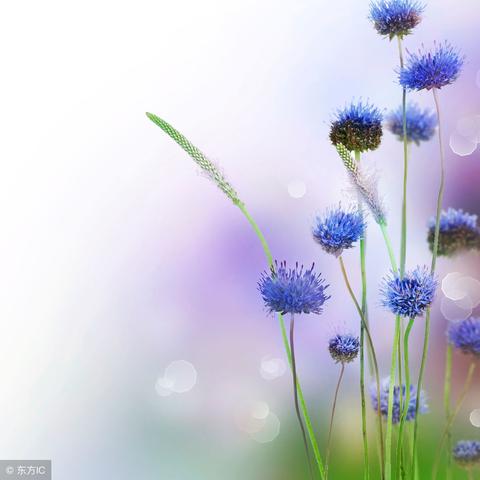 (暴走英雄坛善恶值太低会怎样)暴走英雄坛善恶等级划分:探讨英雄如何在善与恶之间划分等级 (暴走英雄坛善恶值太低会怎样)暴走英雄坛善恶等级划分:探讨英雄如何在善与恶之间划分等级