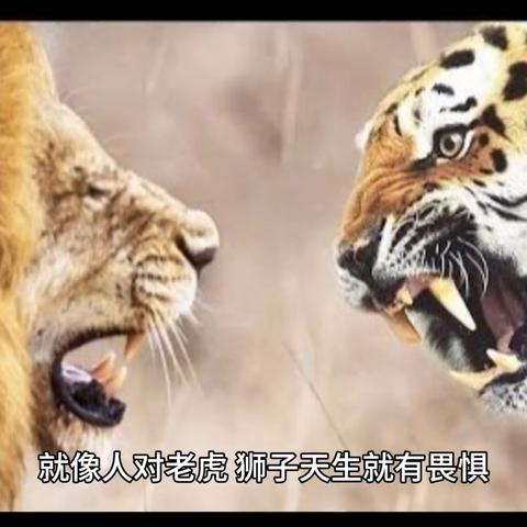 高校诡谈第三章攻略图：揭秘高校灵异事件，挖掘隐藏谜团的秘密指南