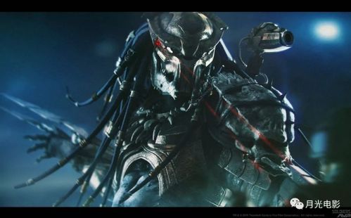 挑战无限可能！上古卷轴刀锋战士樱花动漫：勇闯异世界的冒险之旅